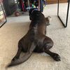 sallyfeldmanis488 - @sallyfeldmanis488 - TikTok
