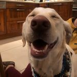 Sally Ferris - @prettyprincesssal - Instagram