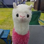 Sally Ferris - @sally.ferris.9 - Instagram