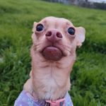 Sally Flanders - @_s.a.l.l.y_._ - Instagram