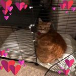 Sally Flanders - @sallyf2004 - Instagram