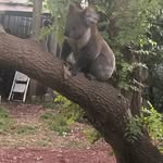 Sally Fleischer - @sallyfleischer183 - Instagram