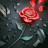 Sally Fleur - @sallyfleur - TikTok