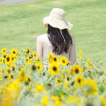 Sallyfloralgarden - @sallyfloralgarden - Instagram