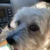 Sally Florence - @sally.florence - TikTok