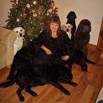 Sally Florence Hughlock - @sallyfhughlock - Instagram