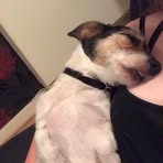Sally Forde - Facebook