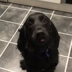 Sally Forder - @fordersally - Instagram