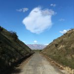 Sally Forman - @sally.forman3360 - Instagram