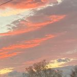 Padie swafford - @sallyforman930 - Instagram