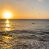 sally - @sally.forts - TikTok