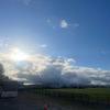 sallyfortminnifarm - @sallyfortminnifarm - TikTok
