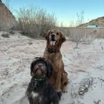 Rocky + Sally Frampton - @rocky.sally.frampton - Instagram