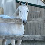 Sally Fredricks - @fredrickssally - Instagram