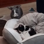Sally and Freya - @sallyomalleyandfreya - Instagram