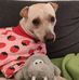 Sally Frey - Facebook