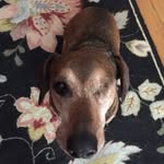 Sally Frey - @sallyfrey31 - Instagram