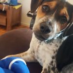 Sally Galloway - @saljgal - Instagram