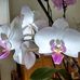 Sally Gandy - Facebook