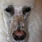 Sally Geller - @geller6219 - Instagram