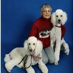 Sally Geller - @sallygeller - Instagram