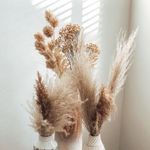 sally & george - @sandghome - Instagram