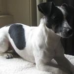 Sally George - @sally.george.982 - Instagram