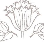 Sally Gill Flowers - @sallygillflowers - Instagram