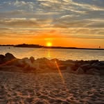 Sally Glaser Dziak - @sallydziak - Instagram