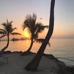 Sally Glaser Dziak - @sallyglaserdziak - Instagram