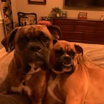Sally Grant Glaser - Facebook
