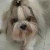 Sally Go - @sally.go0 - TikTok