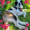 Sally Gore - @sally.gore - TikTok
