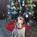 Sally Goff - Facebook