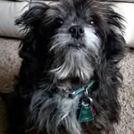 Sally Goldsmith - @sally456660 - Instagram