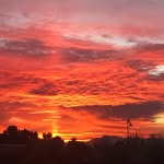Sally Goldsmith-Runion - @azbornnclife - Instagram