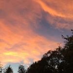 Sally Reiter Goldstein - @sallygoldstein - Instagram