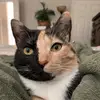 Calliegirl1029 - @sallygonzalez915 - TikTok