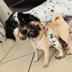 Sally Gonzalez And Jack Garcia - @cutests_sallyandjack - Instagram