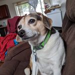 Sally Gooding Gilbert - @sallygilbert0933 - Instagram