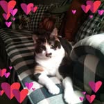 Sally Betounes Holloman Gorham - @sally.b.gorhammibextidlqqj4d - Instagram