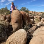 Sally Dawson O'Grady - @sallyaogrady - Instagram