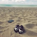 Sally Grady - @segrady - Instagram