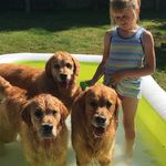 Sally Grainger - @graingersally - Instagram