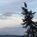 Sally Grandon - Facebook