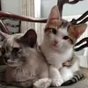 sallygandon - @sallygandon - TikTok