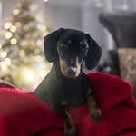 Sally Anne - @sally_anne_granger - Instagram