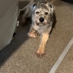 Sally Grantham - @salgrantham64 - Instagram