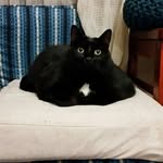 Sally Grasso - @grassosally - Instagram