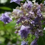 Sally Gregson - @sallyg.4146 - Instagram